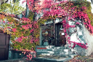 近期战绩红红火火，积分榜高居不下妥妥夺冠