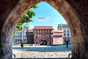 体坛巨星们集结厮杀，向着荣耀发起冲击