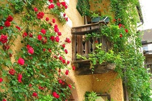 拉文斯领导篮网队获胜