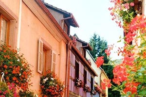 火箭新援表现抢眼贡献太阳胜利