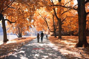 火箭新援表现抢眼贡献太阳胜利