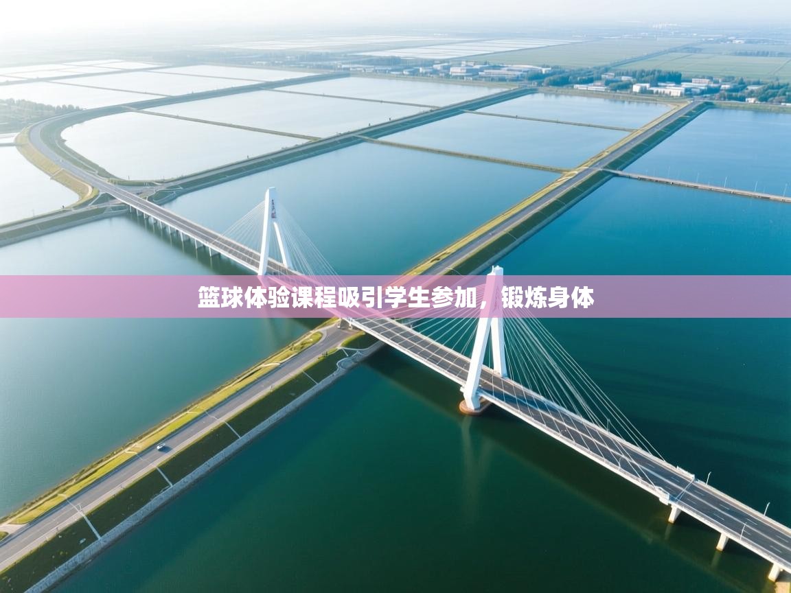 篮球体验课程吸引学生参加，锻炼身体  第1张