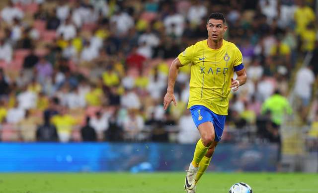 爱游戏官网网页版入口-维也纳队士气高涨，取得关键胜利的简单介绍